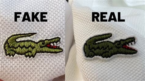 lacoste counterfeit